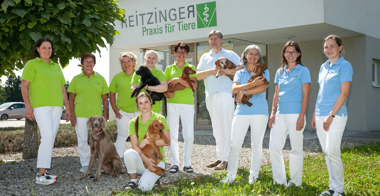 Tierarzt Reitzinger - Praxis für Tiere